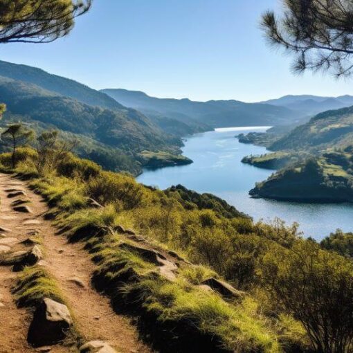 A hiking trail near the douro river