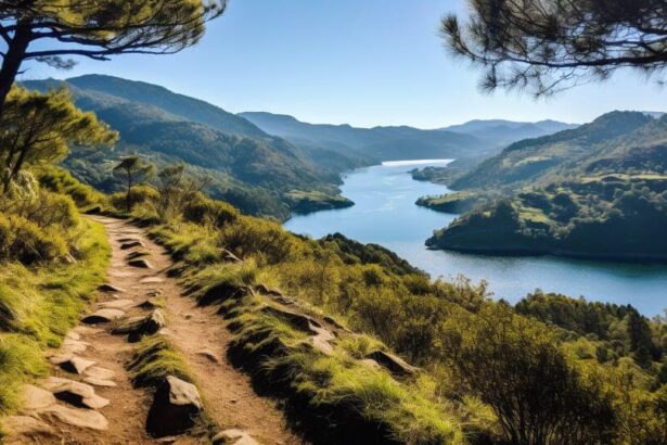 A hiking trail near the douro river